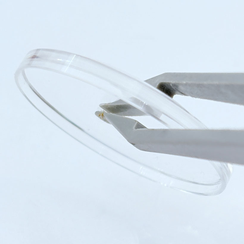 Watch Mirror Accessories Acryl - đánh giá và giá Watch Face Protector